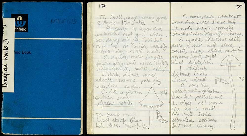 Rackham-archive-digitised-Bradfield-Wood-3-notebook