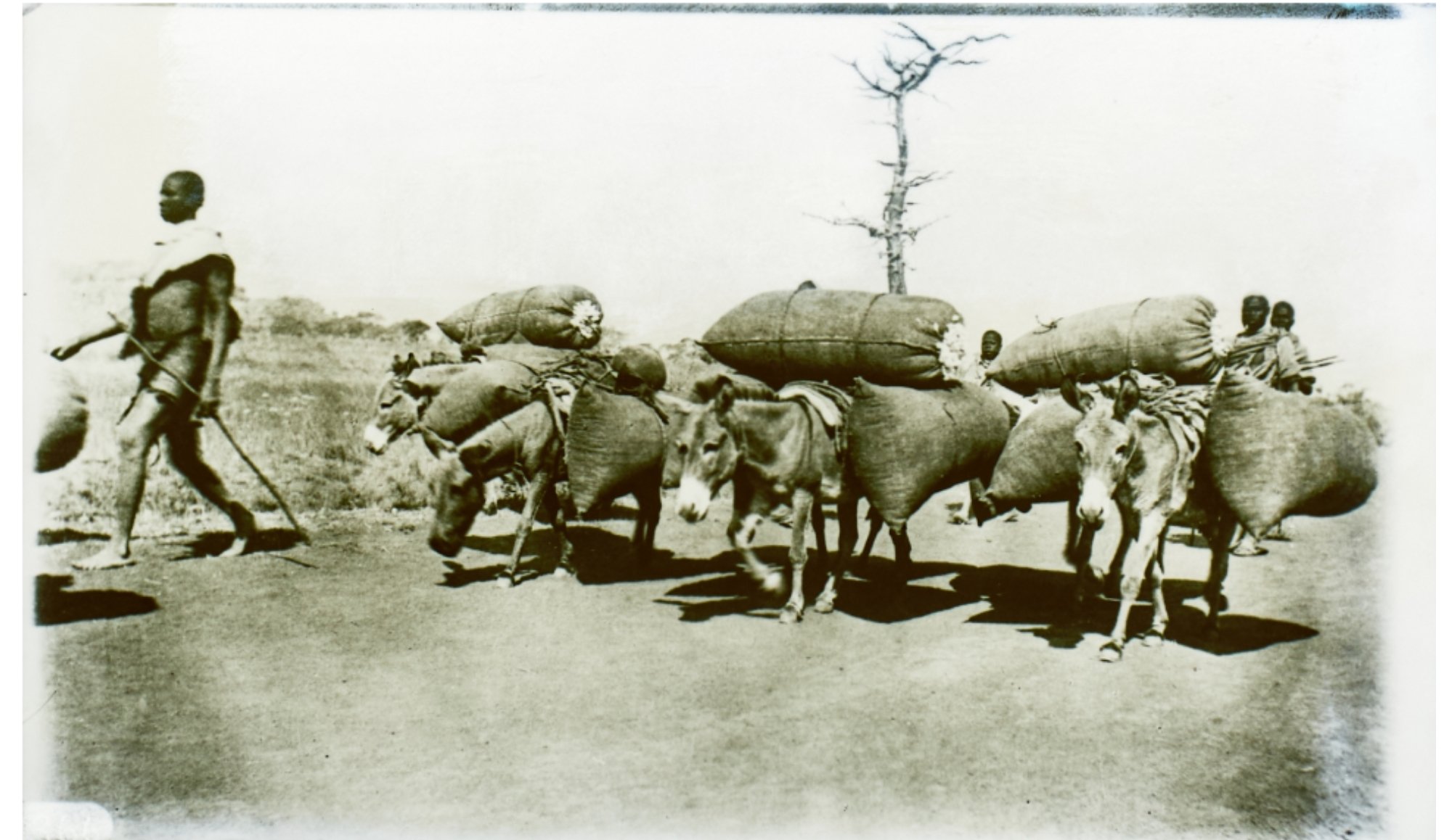 1-Apr-07-2026-09-16-04-3070-AM