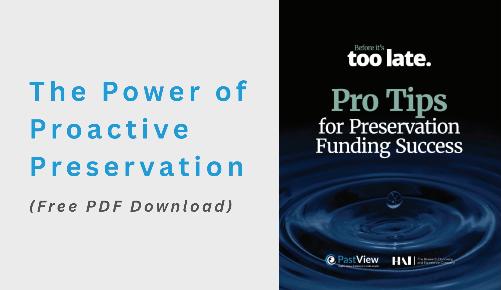 Blog Header Image - 2025-11-07T165234.799